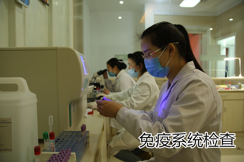 免疫系统检查_副本.jpg